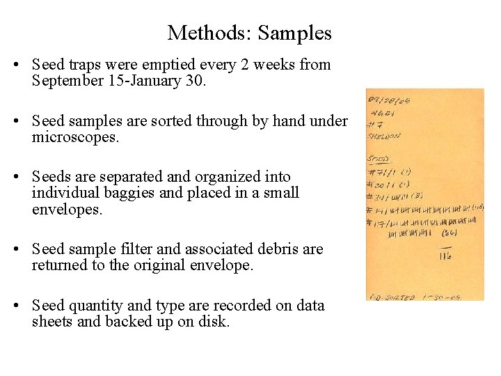 Methods: Samples • Seed traps were emptied every 2 weeks from September 15 -January