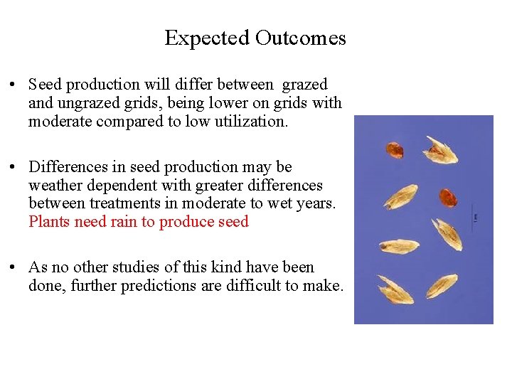 Expected Outcomes • Seed production will differ between grazed and ungrazed grids, being lower