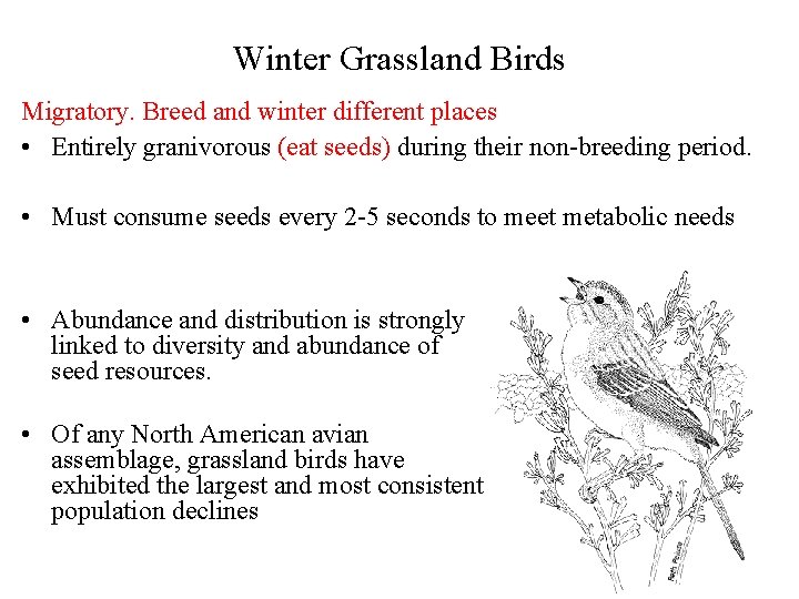 Winter Grassland Birds Migratory. Breed and winter different places • Entirely granivorous (eat seeds)