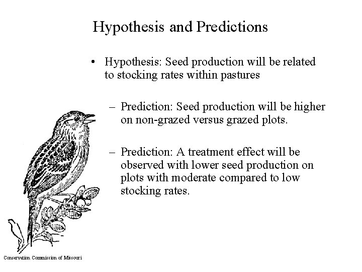 Hypothesis and Predictions • Hypothesis: Seed production will be related to stocking rates within