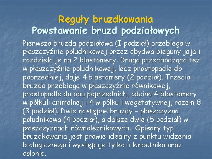 Reguły bruzdkowania Powstawanie bruzd podziałowych Pierwsza bruzda podziałowa (I podział) przebiega w płaszczyźnie południkowej