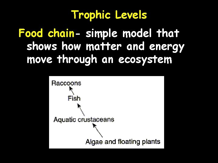 Trophic Levels Food chain- simple model that shows how matter and energy move through