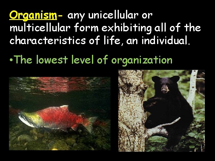 Organism- any unicellular or multicellular form exhibiting all of the characteristics of life, an