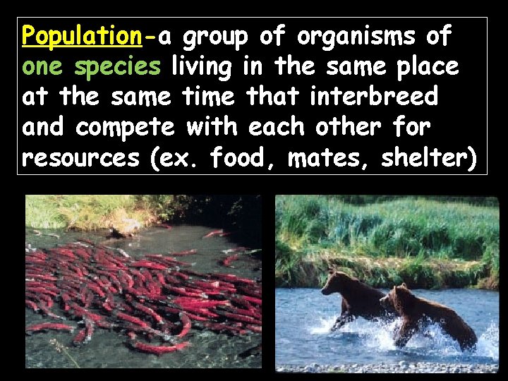 Population-a group of organisms of one species living in the same place at the