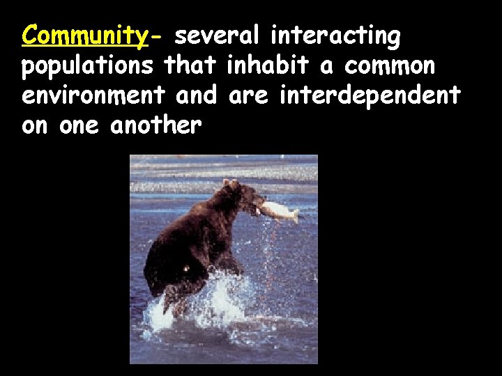Community- several interacting populations that inhabit a common environment and are interdependent on one
