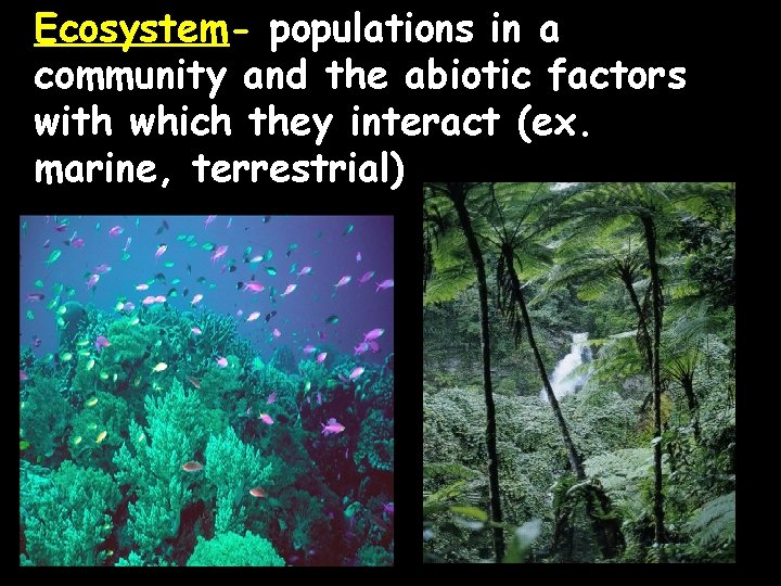 Ecosystem- populations in a community and the abiotic factors with which they interact (ex.