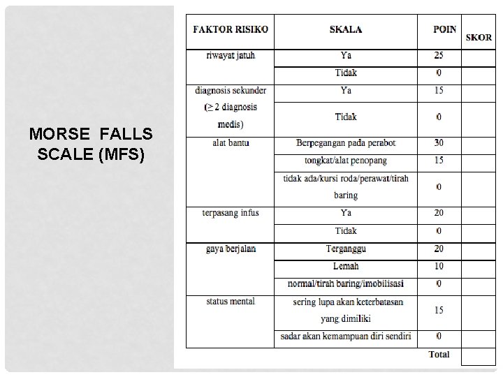 MORSE FALLS SCALE (MFS) 