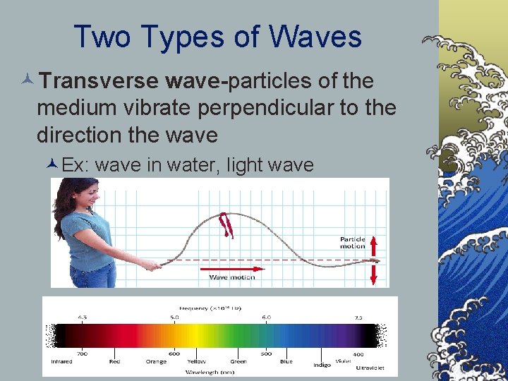 Two Types of Waves ©Transverse wave-particles of the medium vibrate perpendicular to the direction