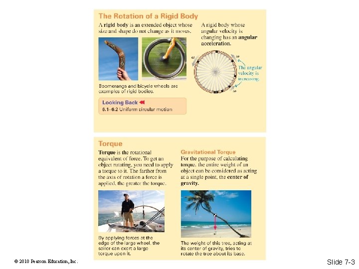 © 2010 Pearson Education, Inc. Slide 7 -3 