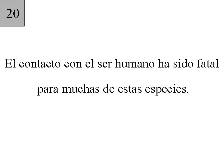 20 El contacto con el ser humano ha sido fatal para muchas de estas