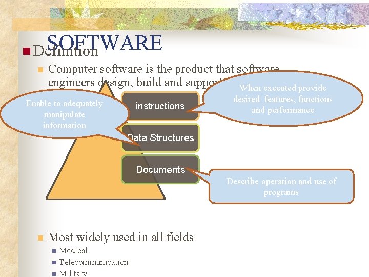 Software Small Defination SOFTWARE ENGINEERING I CSCS 300 Fall 2009 Ms