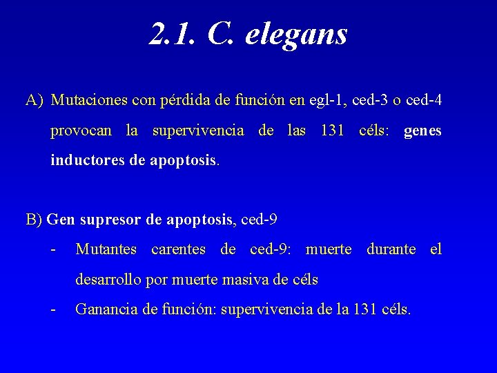 2. 1. C. elegans A) Mutaciones con pérdida de función en egl-1, ced-3 o