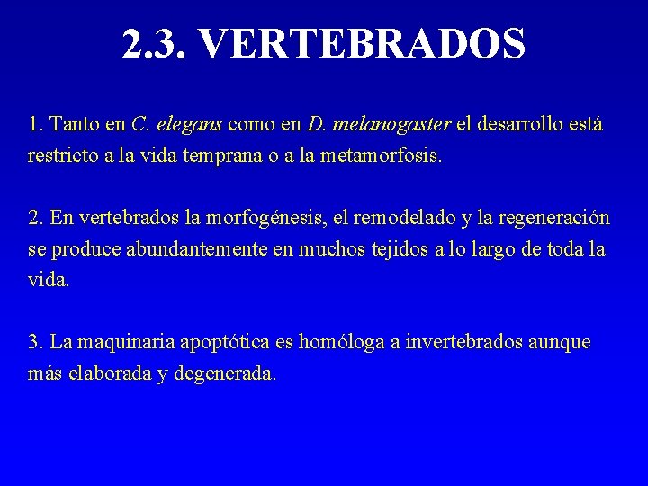 2. 3. VERTEBRADOS 1. Tanto en C. elegans como en D. melanogaster el desarrollo