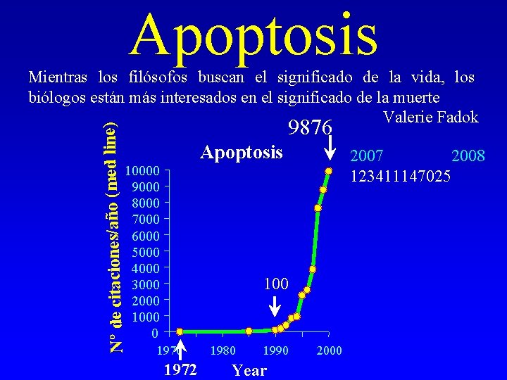 Apoptosis Nº de citaciones/año (med line) Mientras los filósofos buscan el significado de la