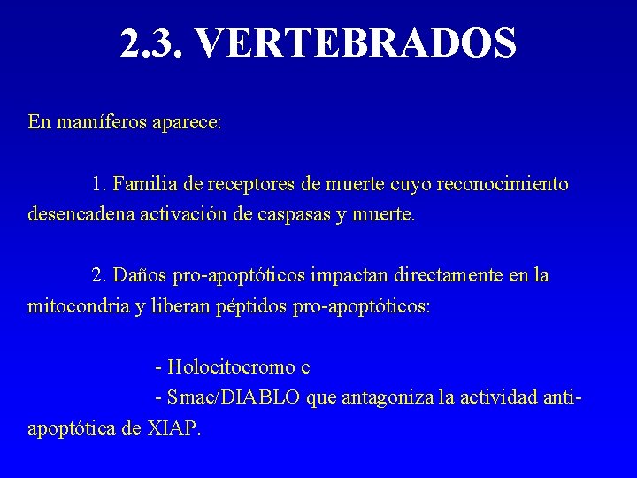 2. 3. VERTEBRADOS En mamíferos aparece: 1. Familia de receptores de muerte cuyo reconocimiento