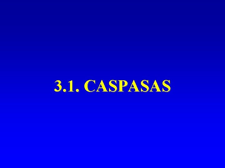 3. 1. CASPASAS 