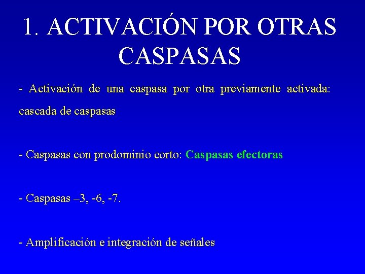 1. ACTIVACIÓN POR OTRAS CASPASAS - Activación de una caspasa por otra previamente activada: