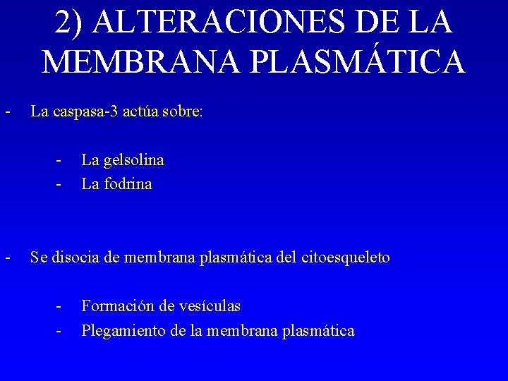 2) ALTERACIONES DE LA MEMBRANA PLASMÁTICA - La caspasa-3 actúa sobre: - - La