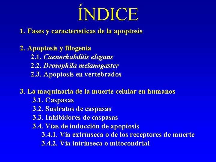 ÍNDICE 1. Fases y características de la apoptosis 2. Apoptosis y filogenia 2. 1.