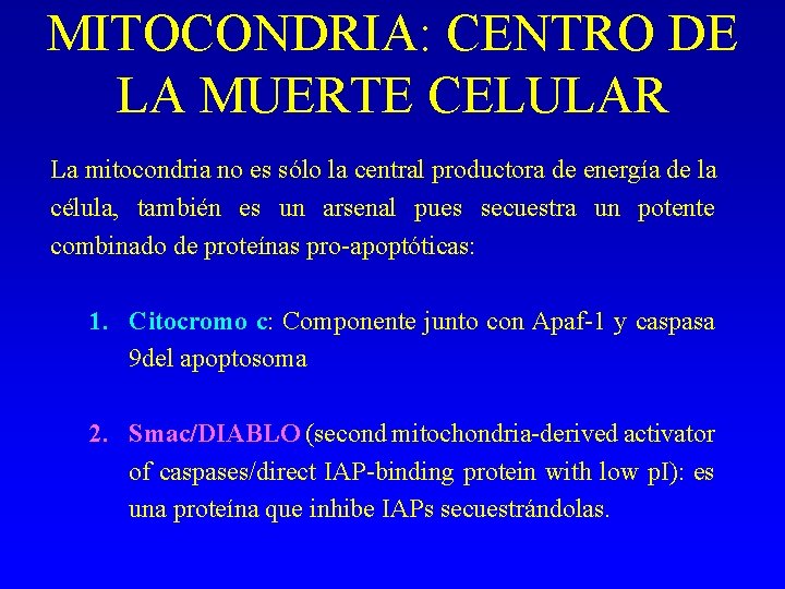 MITOCONDRIA: CENTRO DE LA MUERTE CELULAR La mitocondria no es sólo la central productora