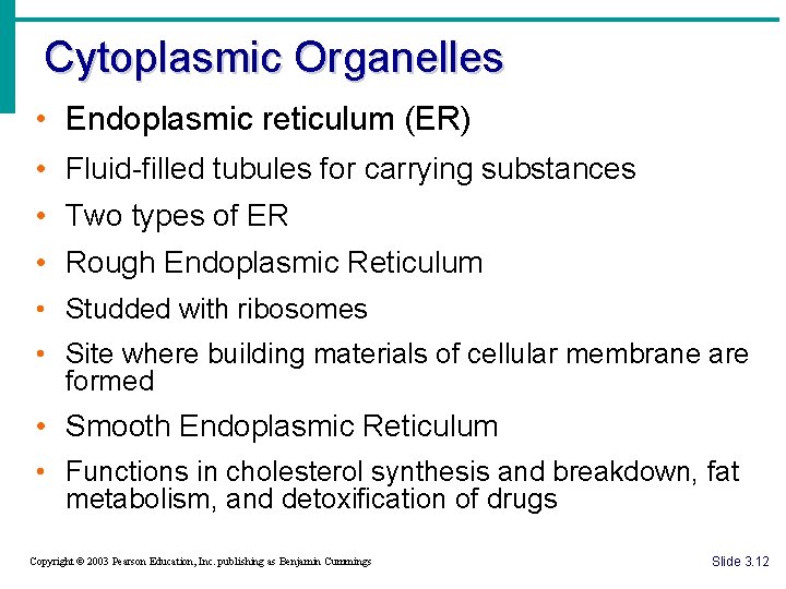 Cytoplasmic Organelles • Endoplasmic reticulum (ER) • Fluid-filled tubules for carrying substances • Two