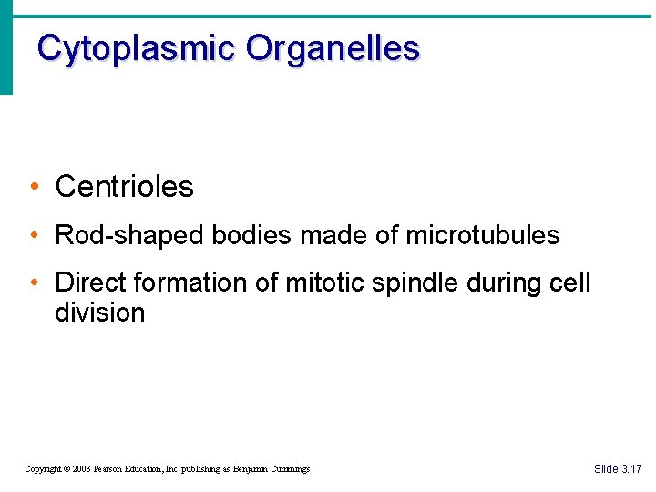 Cytoplasmic Organelles • Centrioles • Rod-shaped bodies made of microtubules • Direct formation of