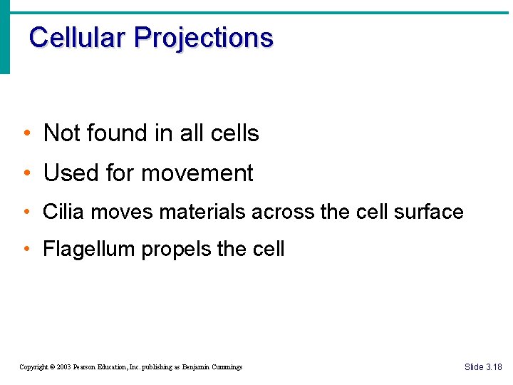 Cellular Projections • Not found in all cells • Used for movement • Cilia