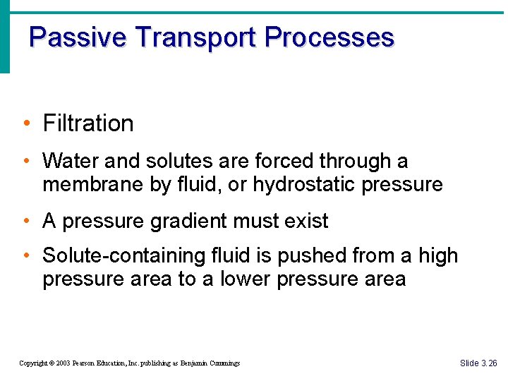 Passive Transport Processes • Filtration • Water and solutes are forced through a membrane