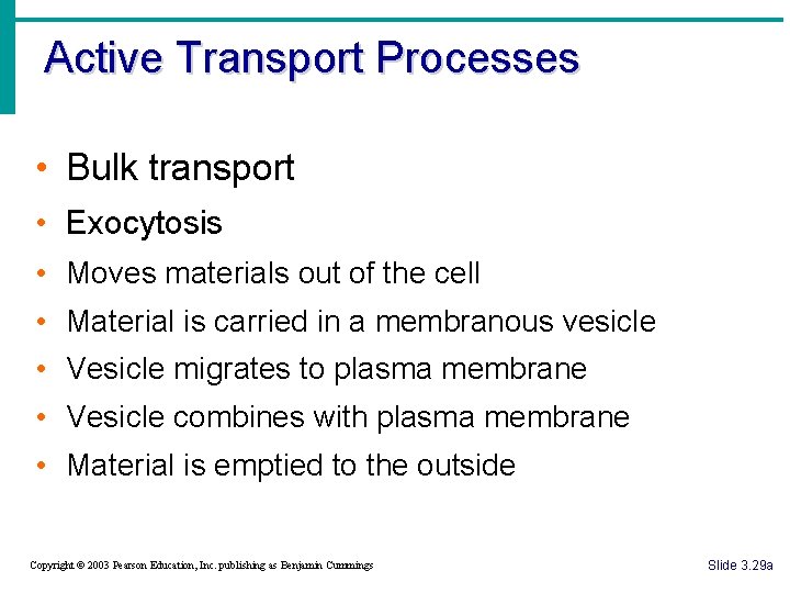 Active Transport Processes • Bulk transport • Exocytosis • Moves materials out of the