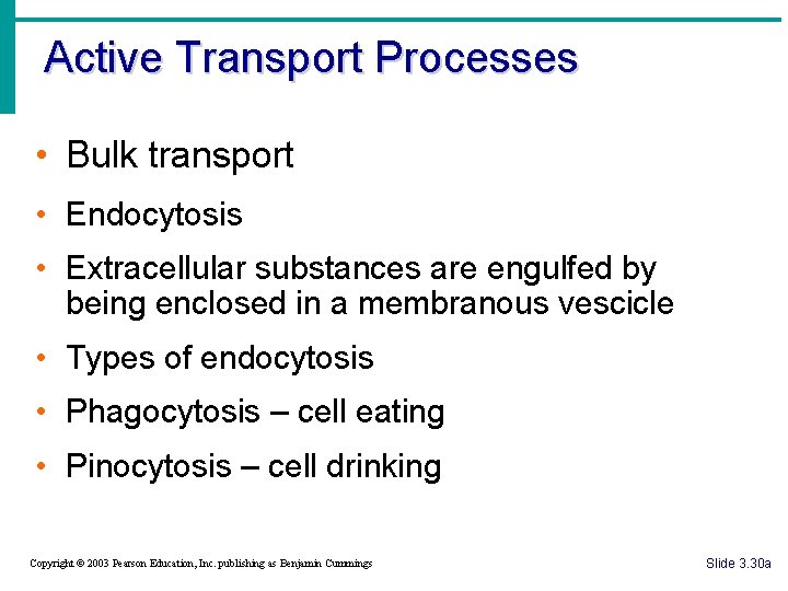 Active Transport Processes • Bulk transport • Endocytosis • Extracellular substances are engulfed by