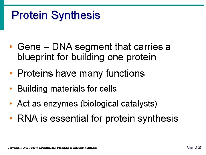 Protein Synthesis • Gene – DNA segment that carries a blueprint for building one