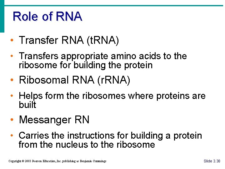 Role of RNA • Transfer RNA (t. RNA) • Transfers appropriate amino acids to