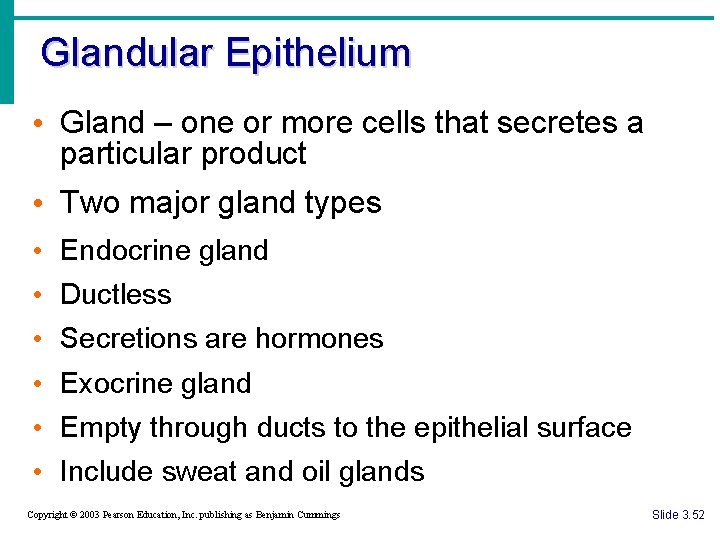 Glandular Epithelium • Gland – one or more cells that secretes a particular product