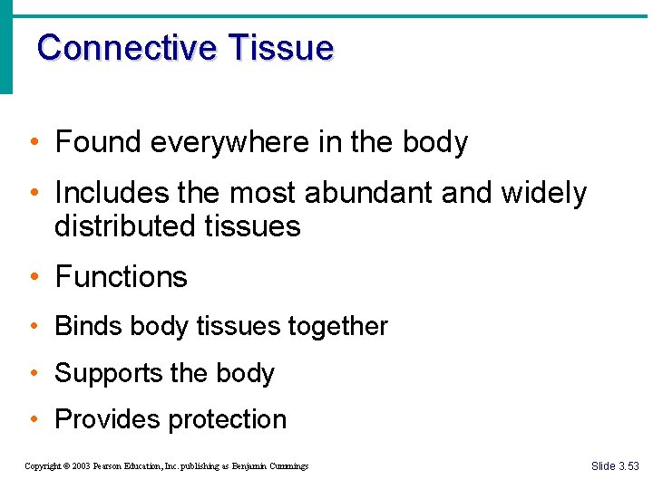 Connective Tissue • Found everywhere in the body • Includes the most abundant and