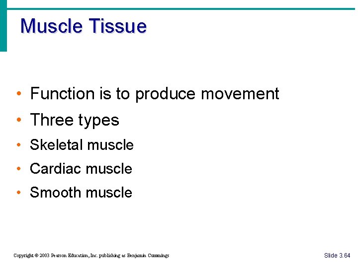 Muscle Tissue • Function is to produce movement • Three types • Skeletal muscle