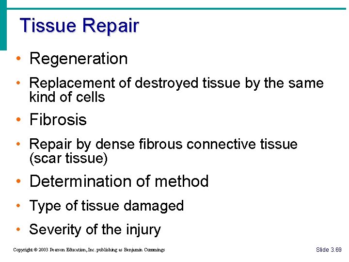 Tissue Repair • Regeneration • Replacement of destroyed tissue by the same kind of