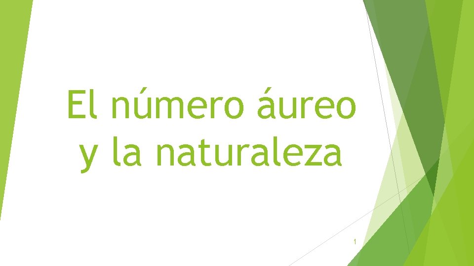 El número áureo y la naturaleza 1 El número áureo y la naturaleza 1