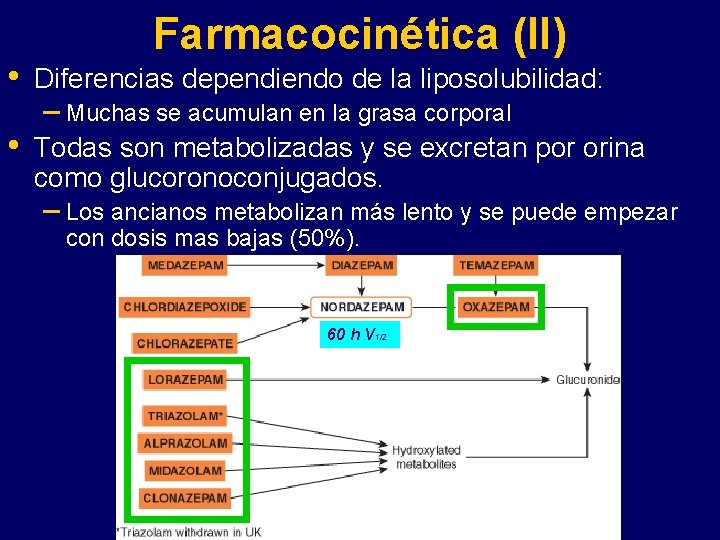 Farmacocinética (II) • Diferencias dependiendo de la liposolubilidad: • Todas son metabolizadas y se