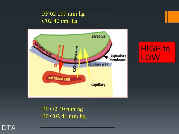 PP 02 100 mm hg C 02 40 mm hg HIGH to LOW PP
