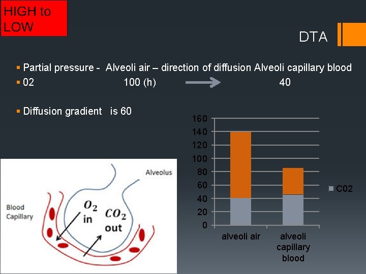DTA § Partial pressure - Alveoli air – direction of diffusion Alveoli capillary blood