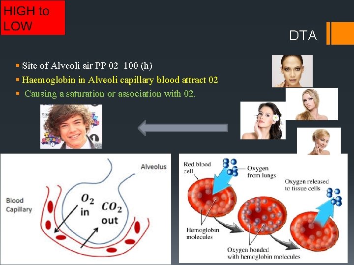 DTA § Site of Alveoli air PP 02 100 (h) § Haemoglobin in Alveoli