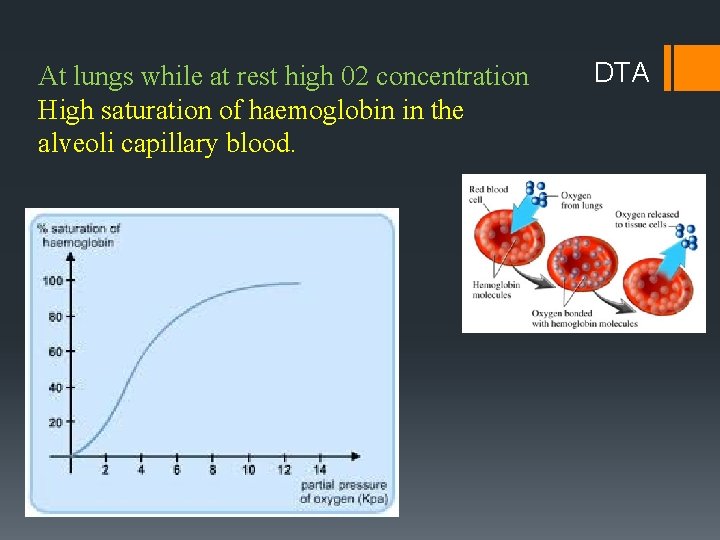 At lungs while at rest high 02 concentration High saturation of haemoglobin in the