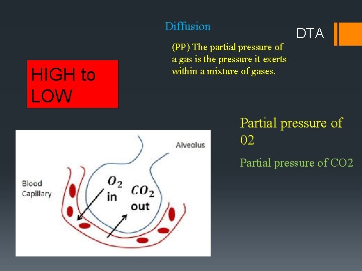 Diffusion HIGH to LOW DTA (PP) The partial pressure of a gas is the