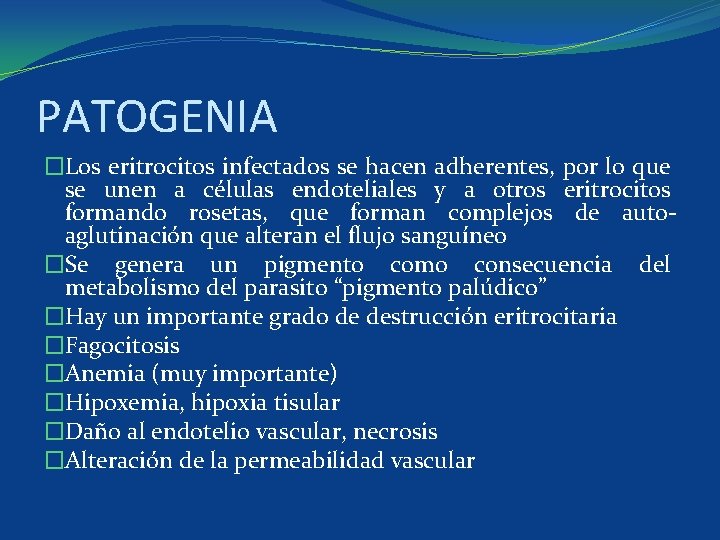 PATOGENIA �Los eritrocitos infectados se hacen adherentes, por lo que se unen a células