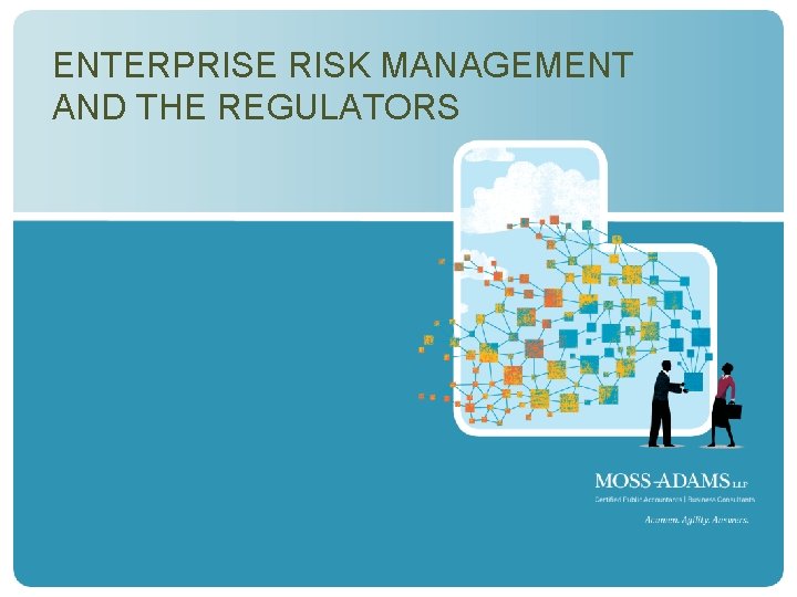 ENTERPRISE RISK MANAGEMENT AND THE REGULATORS 19 