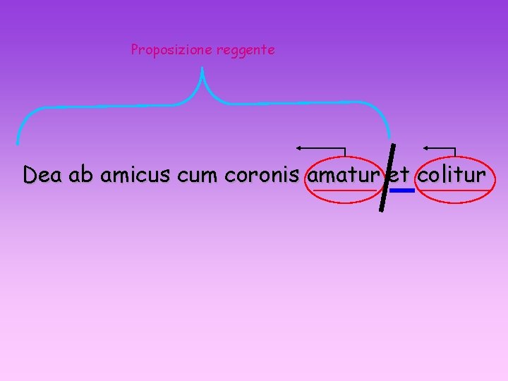Proposizione reggente Dea ab amicus cum coronis amatur et colitur 