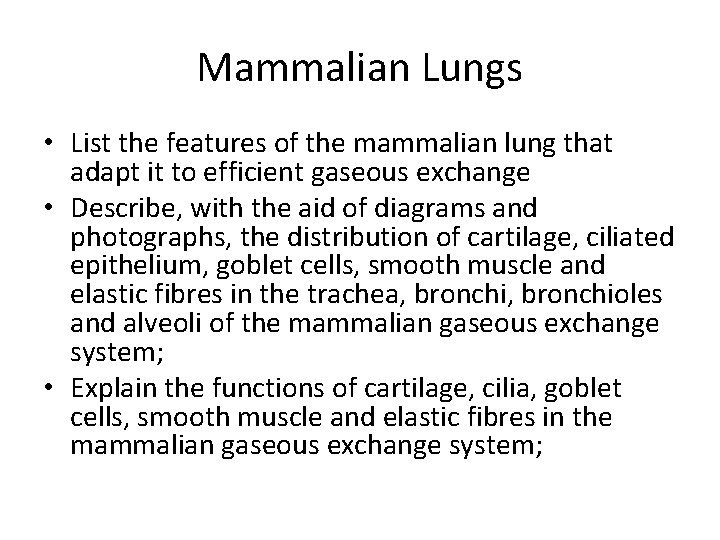 Mammalian Lungs • List the features of the mammalian lung that adapt it to