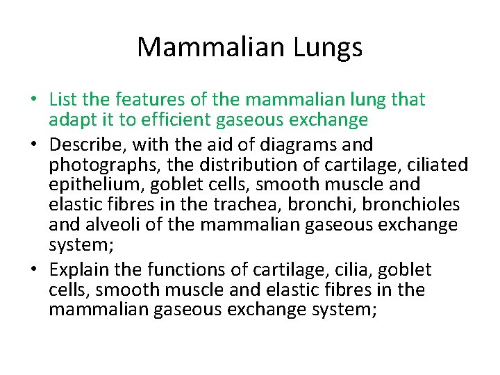 Mammalian Lungs • List the features of the mammalian lung that adapt it to