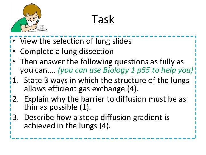 Task • View the selection of lung slides • Complete a lung dissection •