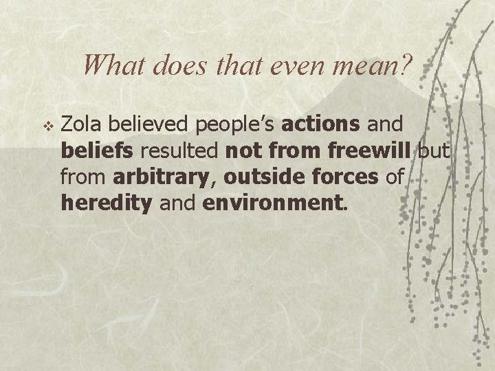 What does that even mean? v Zola believed people’s actions and beliefs resulted not